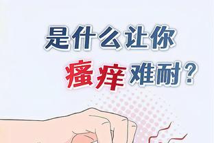 开云app官方网站入口下载安卓截图2